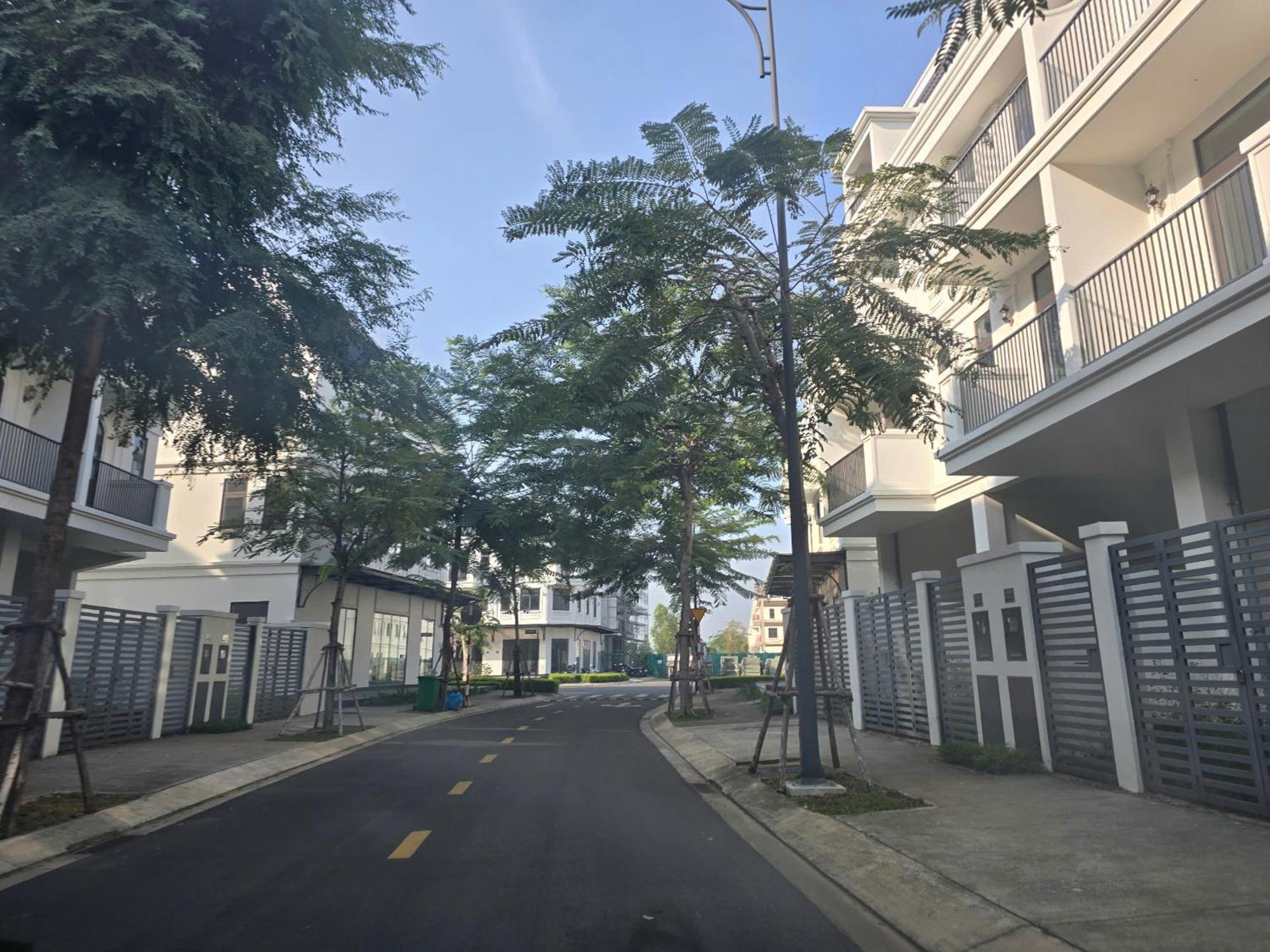 Zozo House - Homestay Bai Sau Vung Tau Ruang foto